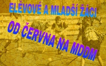 ELÉVOVÉ A MLŽI TRÉNINKY V ČERVNU