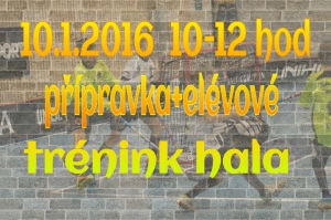 10.1.společný trénink elévů a přípravky.