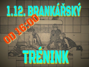 1.12. trénink brankářů na SPŠ Ostrov