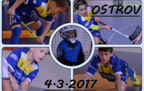 Elévové v Ostrově