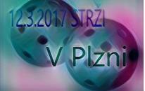 12.3.Turnaj starších žáku v Plzni