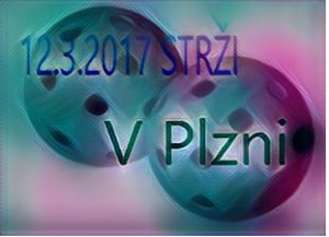 12.3.Turnaj starších žáku v Plzni