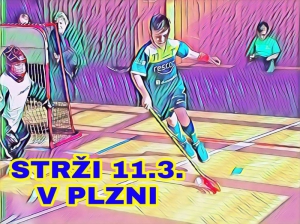 11.3. STRŽI TURNAJ PLZEŇ