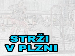 25.3. ODEHRÁLI STRŽI 11.KOLO V PLZNI