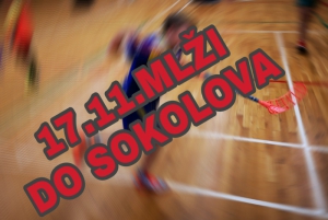 17.11. MLŽI V SOKOLOVĚ