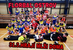 31.3.MLŽI V OSTROVĚ