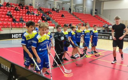 Karlovarský turnaj mlžů